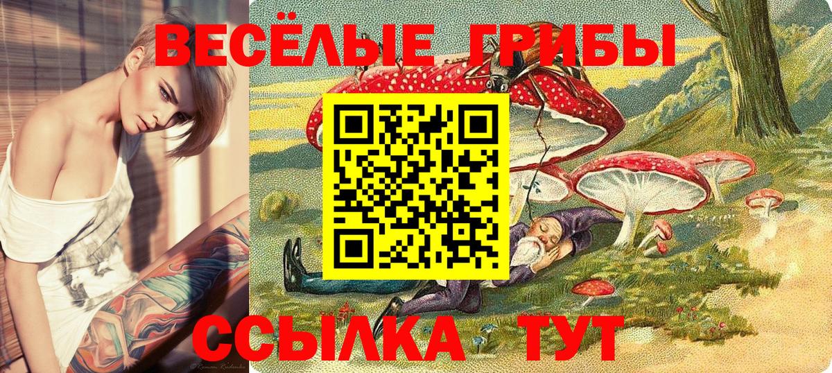 Рубцовск  Псилоцибиновые грибы ЛСД  Вход с VPN  Псилоцибиновые грибы Psilocybine cubensis 